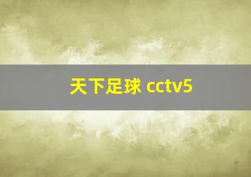 天下足球 cctv5